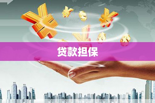 肥乡贷款担保