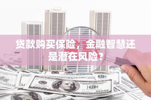 肥乡贷款购买保险，金融智慧还是潜在风险？