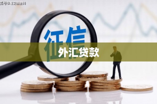 肥乡外汇贷款