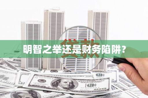 肥乡明智之举还是财务陷阱？