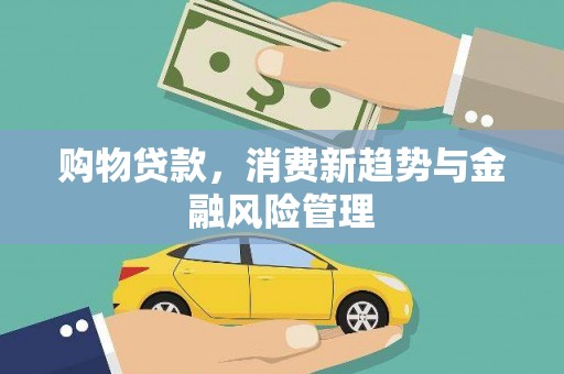 肥乡购物贷款，消费新趋势与金融风险管理