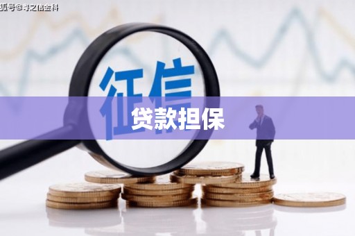 肥乡贷款担保