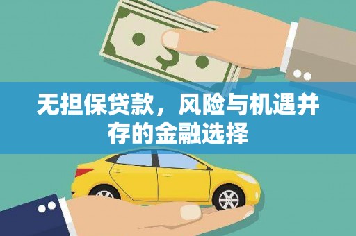 肥乡无担保贷款，风险与机遇并存的金融选择