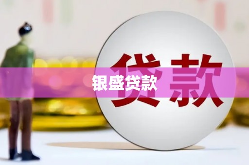 肥乡银盛贷款