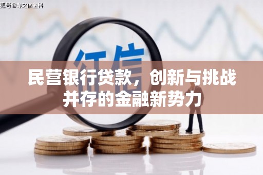 肥乡民营银行贷款，创新与挑战并存的金融新势力