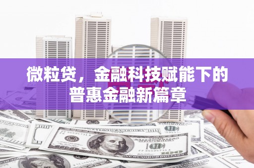 肥乡微粒贷，金融科技赋能下的普惠金融新篇章