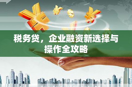肥乡税务贷，企业融资新选择与操作全攻略