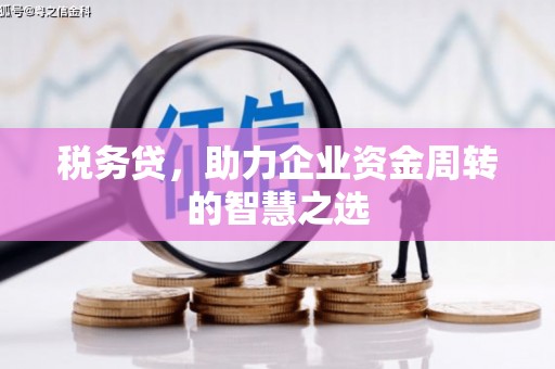 肥乡税务贷，助力企业资金周转的智慧之选
