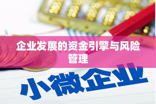 肥乡企业发展的资金引擎与风险管理