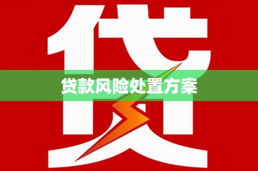 肥乡贷款风险处置方案