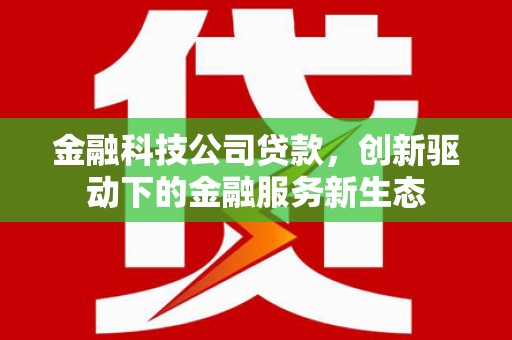 肥乡金融科技公司贷款，创新驱动下的金融服务新生态