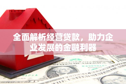 肥乡全面解析经营贷款，助力企业发展的金融利器