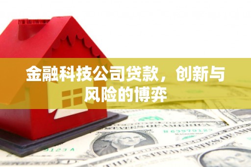 肥乡金融科技公司贷款，创新与风险的博弈