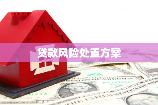 肥乡贷款风险处置方案