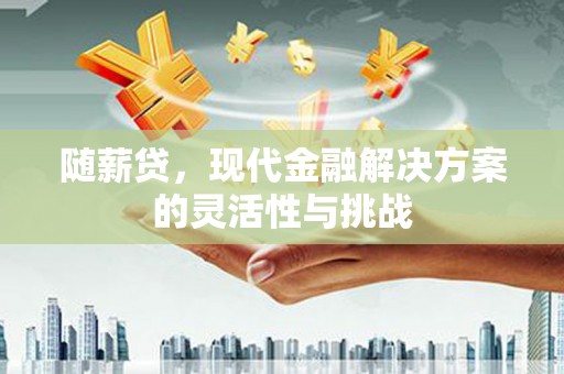 肥乡随薪贷，现代金融解决方案的灵活性与挑战