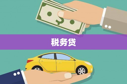 肥乡税务贷