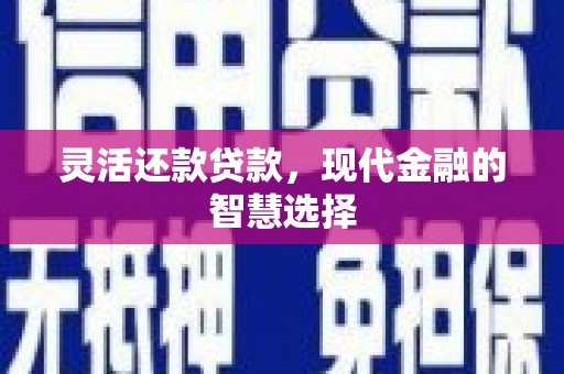 肥乡灵活还款贷款，现代金融的智慧选择