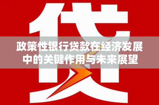 肥乡政策性银行贷款在经济发展中的关键作用与未来展望