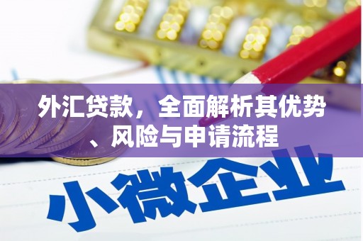 肥乡外汇贷款，全面解析其优势、风险与申请流程
