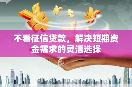 肥乡不看征信贷款，解决短期资金需求的灵活选择