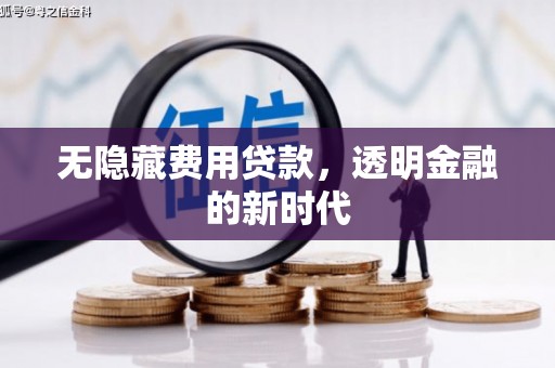 肥乡无隐藏费用贷款，透明金融的新时代