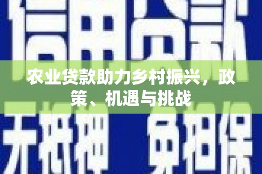 肥乡农业贷款助力乡村振兴，政策、机遇与挑战