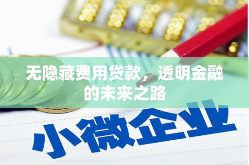 肥乡无隐藏费用贷款，透明金融的未来之路