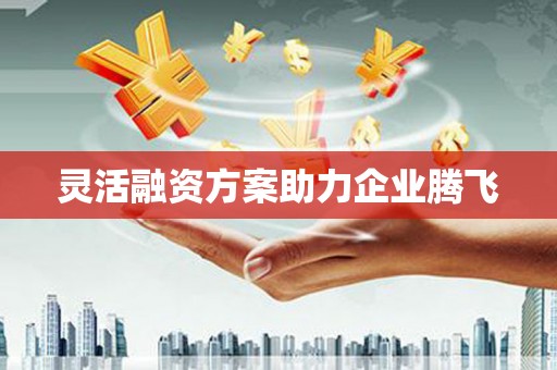 肥乡灵活融资方案助力企业腾飞