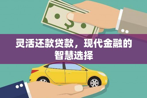 肥乡灵活还款贷款，现代金融的智慧选择