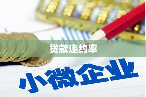 肥乡贷款违约率