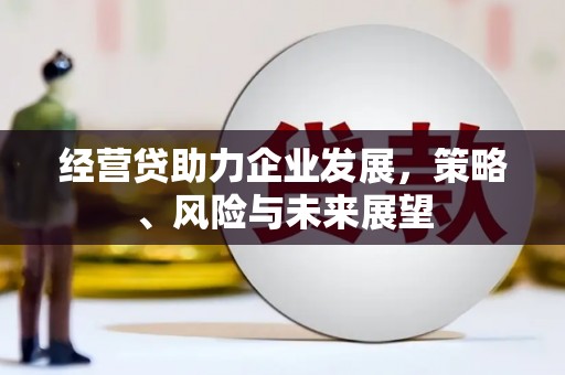 肥乡经营贷助力企业发展，策略、风险与未来展望