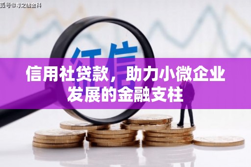 肥乡信用社贷款，助力小微企业发展的金融支柱