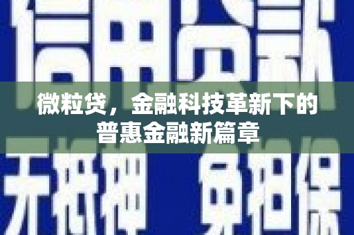 肥乡微粒贷，金融科技革新下的普惠金融新篇章
