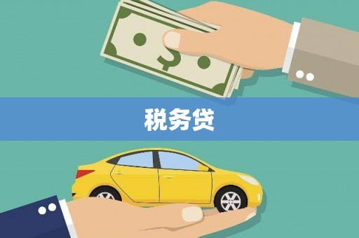 肥乡税务贷