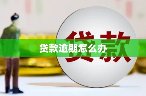 肥乡贷款逾期怎么办