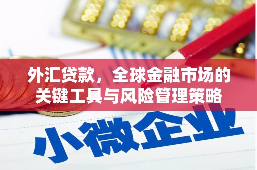 肥乡外汇贷款，全球金融市场的关键工具与风险管理策略