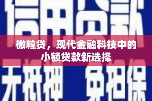 肥乡微粒贷，现代金融科技中的小额贷款新选择