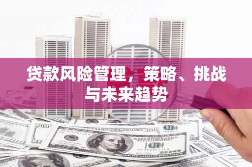 肥乡贷款风险管理，策略、挑战与未来趋势