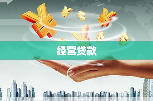 肥乡经营贷款