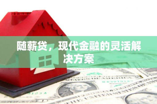 肥乡随薪贷，现代金融的灵活解决方案