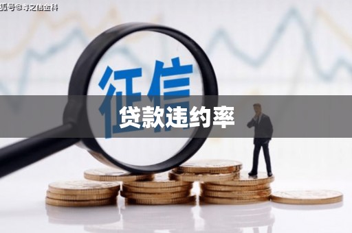肥乡贷款违约率