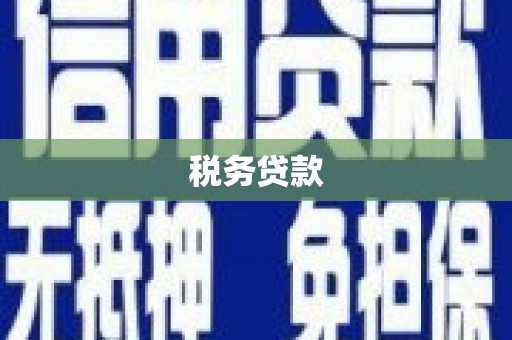 肥乡税务贷款