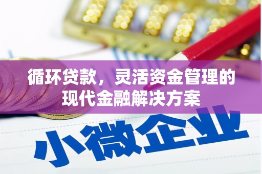肥乡循环贷款，灵活资金管理的现代金融解决方案