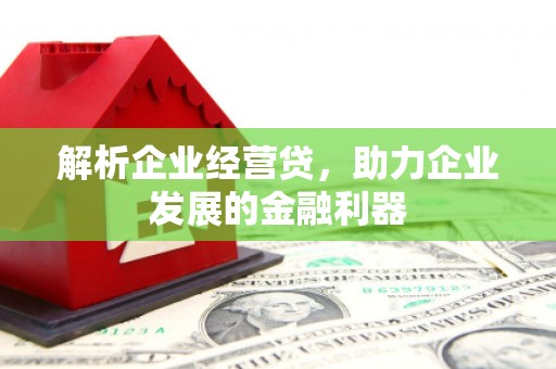 肥乡解析企业经营贷，助力企业发展的金融利器