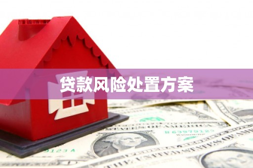 肥乡贷款风险处置方案