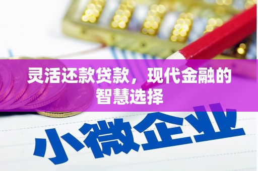 肥乡灵活还款贷款，现代金融的智慧选择