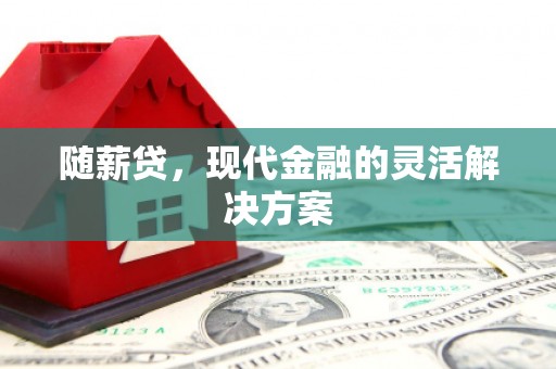 肥乡随薪贷，现代金融的灵活解决方案