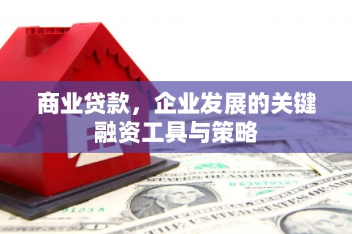 肥乡商业贷款，企业发展的关键融资工具与策略
