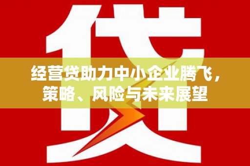 肥乡经营贷助力中小企业腾飞，策略、风险与未来展望