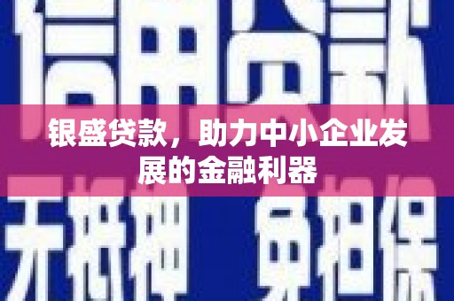 肥乡银盛贷款，助力中小企业发展的金融利器